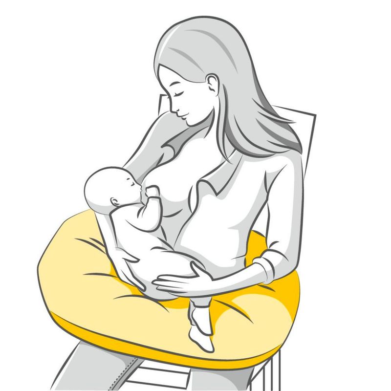 Medela Graviditets- og ammepute