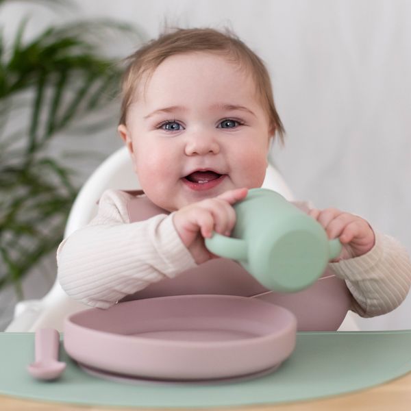 Hovedbilde Summerville Organic smekker i silikon, 2pk, rose ...